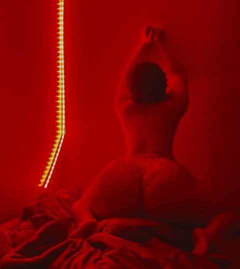 Ophelia rose